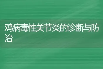 鸡病毒性关节炎的诊断与防治