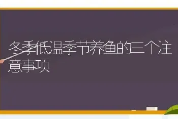 冬季低温季节养鱼的三个注意事项