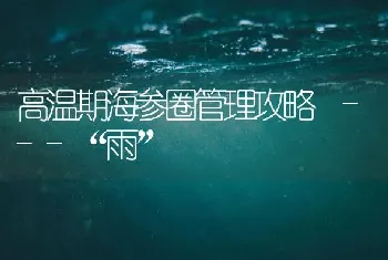 高温期海参圈管理攻略 ---“雨”