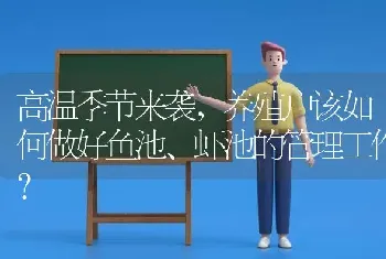 高温季节来袭,养殖户该如何做好鱼池、虾池的管理工作?