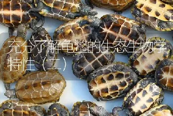 充分了解龟鳖的生态生物学特性(二)