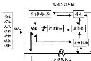 养鱼过程中磷肥的正确使用方法,您用对了吗?