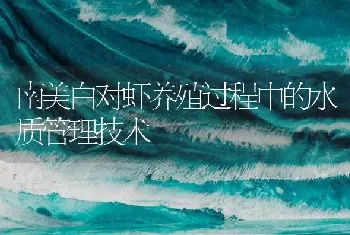 南美白对虾养殖过程中的水质管理技术