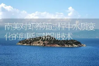 南美对虾养殖过程中水质变化的判断与辨别技术