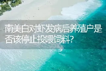 南美白对虾发病后养殖户是否该停止投喂饲料?