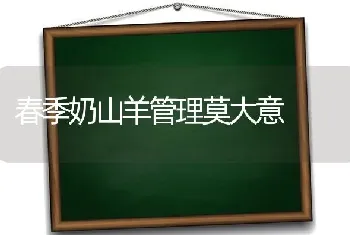 春季奶山羊管理莫大意