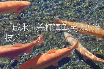 半咸水饲养虹鳟鱼疾病防治技术(1)