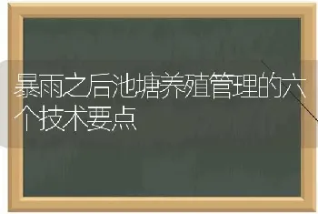 暴雨之后池塘养殖管理的六个技术要点