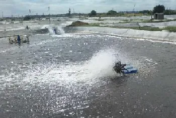 关注水体营养平衡,避免水体富营养化