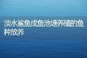 淡水鲨鱼成鱼池塘养殖的鱼种放养