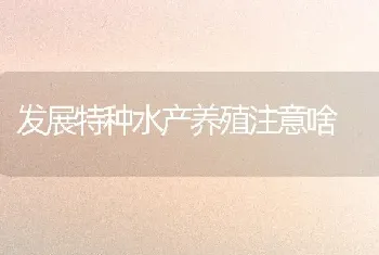 发展特种水产养殖注意啥