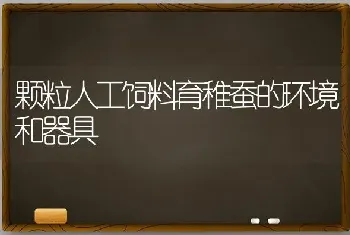 颗粒人工饲料育稚蚕的环境和器具