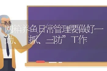 网箱养鱼日常管理要做好一勤、二抓、三防”工作