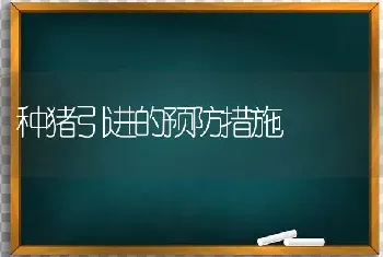 种猪引进的预防措施