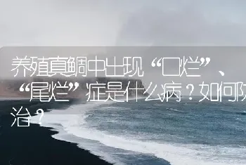 养殖真鲷中出现“口烂”、“尾烂”症是什么病?如何防治?