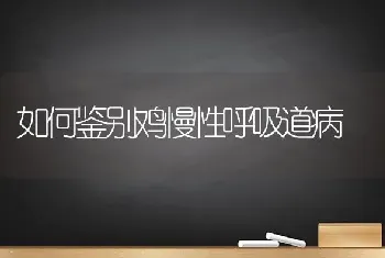 如何鉴别鸡慢性呼吸道病