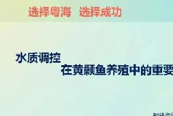 黄颡鱼水质调控案例：养鱼先养水好水出好鱼