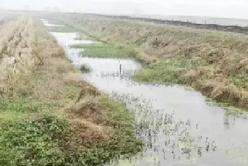 冬春季节养殖小龙虾第三篇：青苔处理