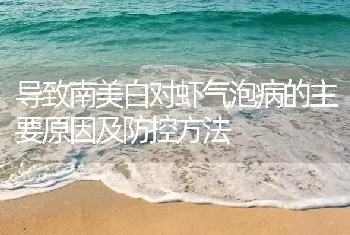 导致南美白对虾气泡病的主要原因及防控方法