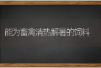 能为畜禽清热解暑的饲料