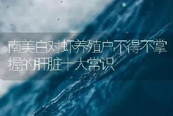 南美白对虾养殖户不得不掌握的肝脏十大常识