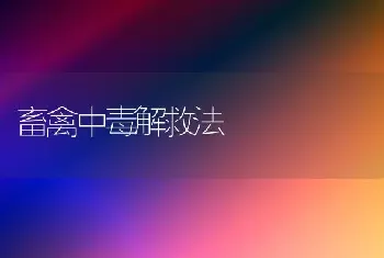 畜禽中毒解救法