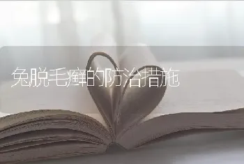 兔脱毛癣的防治措施