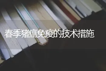 春季猪瘟免疫的技术措施