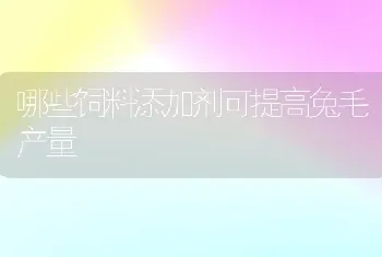 哪些饲料添加剂可提高兔毛产量