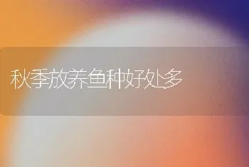 秋季放养鱼种好处多