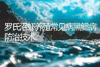 罗氏沼虾养殖常见病黑鳃病防治技术