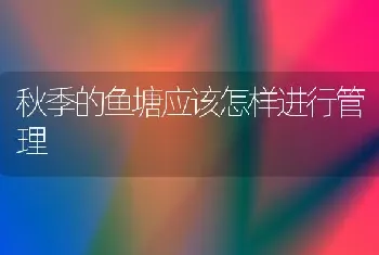 秋季的鱼塘应该怎样进行管理