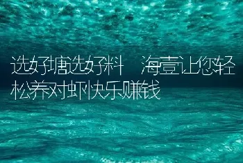 选好塘选好料 海壹让您轻松养对虾快乐赚钱