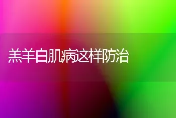 羔羊白肌病这样防治