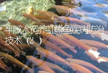 半咸水饲养虹鳟鱼疾病防治技术(2)