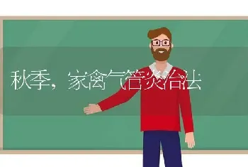 秋季,家禽气管炎治法