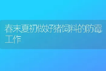 春末夏初做好猪饲料的防霉工作