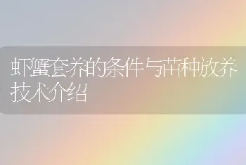 虾蟹套养的条件与苗种放养技术介绍