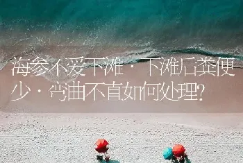 海参不爱下滩·下滩后粪便少·弯曲不直如何处理?