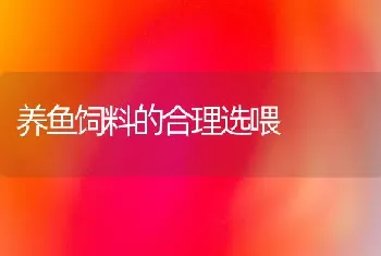 养鱼饲料的合理选喂