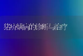 猪疥螨病的诊断与治疗