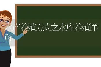 水产养殖方式之水库养殖详解