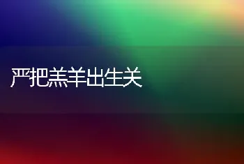 严把羔羊出生关