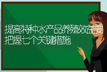 提高特种水产品养殖效益要把握七个关键措施