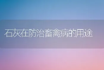 石灰在防治畜禽病的用途