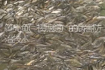 笋壳鱼(褐塘鳢)的病害防治技术