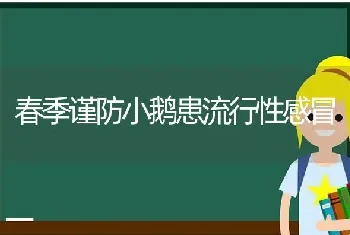 春季谨防小鹅患流行性感冒