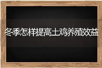 冬季怎样提高土鸡养殖效益