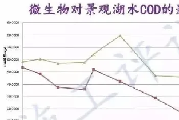 做好歇塘时期的池塘修复工作,是水产养殖户迎接丰收一造的基础