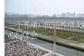 一个养殖户网箱养殖水蛭的心得体会